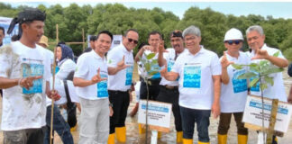 Menteri Lingkungan Hidup Bersama AMPHIBI dan PT.Freeport Indonesia Aksi Tanam Mangrove Menteri
