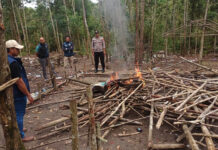 Polres Sintang Tindak Lokasi Judi Sabung Ayam sabung