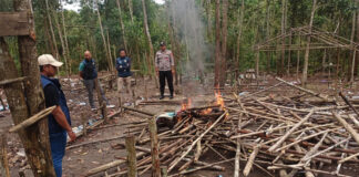 Polres Sintang Tindak Lokasi Judi Sabung Ayam sabung