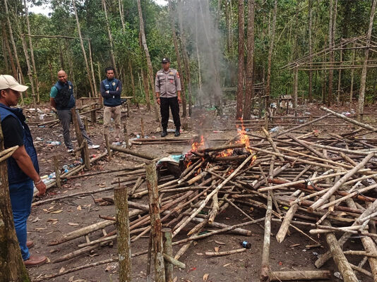 Polres Sintang Tindak Lokasi Judi Sabung Ayam sabung