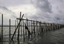 Irjen Pol. M Yassin Kosasih : Pagar Misterius Perairan Tangerang Sebaiknya Dibongkar pagar