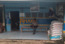 Pupuk Subsidi Diduga Dijual Diatas HET Di Tanah Karo pupuk