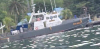 Direktur CBA Desak Kapolda Copot Dirpolairud, Diduga Main Mata Dengan KSOP, Terkait BBM Ilegal bbm