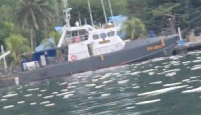 WhatsApp Image 2025-05-21 at 15.20.23 bbm