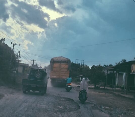 Truk Tronton Overload Asal Tebo Diduga Jadi Penyumbang Kerusakan Terbesar di Ruas Simalidu–Koto Baru, Warga Resah dan Pertanyakan Penegakan Hukum