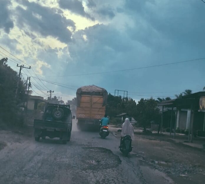 IMG_20251117_164533_226