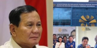 BP3MI Sulut–KP2MI Disebut Jadi “Benteng” Sindikat, Presiden Diminta Turun Tangan Berantas Mafia TPPO Sulut