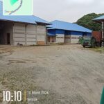 Gudang Rokok Ilegal di Jalur Lintas Kalimantan Sintang Disorot Warga, Aparat Diminta Bertindak Tegas