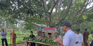 Kapolsek IPTU Sudirman Sambangi Petani Inovatif: Dukung Agrowisata Alpukat Di Salimpaung Salimpaung