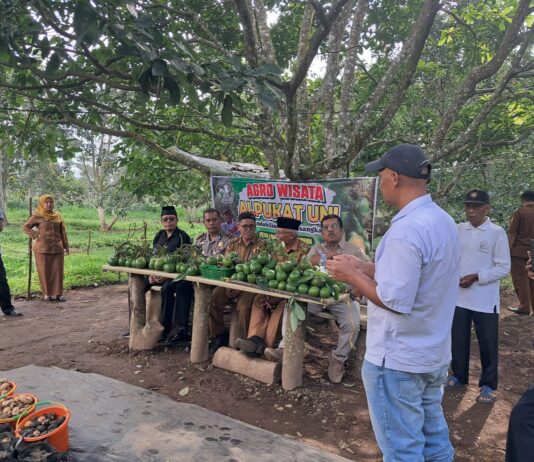 Kapolsek IPTU Sudirman Sambangi Petani Inovatif: Dukung Agrowisata Alpukat Di Salimpaung Salimpaung