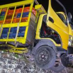 Ini Alasan Warga Balai Pandan Minta Pemkab Solok Evaluasi Kelayakan Akses dan Perizinan Peternakan Ayam