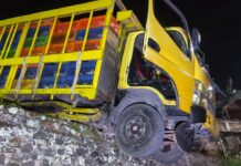 Ini Alasan Warga Balai Pandan Minta Pemkab Solok Evaluasi Kelayakan Akses dan Perizinan Peternakan Ayam