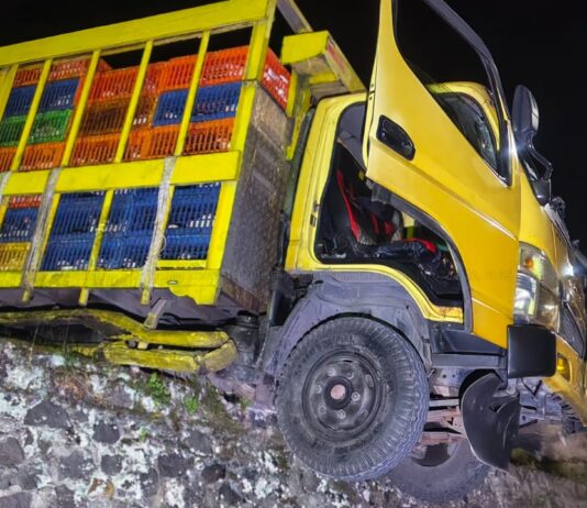 Ini Alasan Warga Balai Pandan Minta Pemkab Solok Evaluasi Kelayakan Akses dan Perizinan Peternakan Ayam