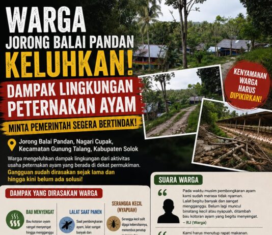 Warga Jorong Balai Pandan Keluhkan Dampak Lingkungan Peternakan Ayam, Desak Pemerintah Lakukan Penanganan