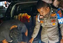 Bawa Ganja di Mobil, Warga Agam ditangkap Polisi Setelah Alami Kecelakaan di Solok
