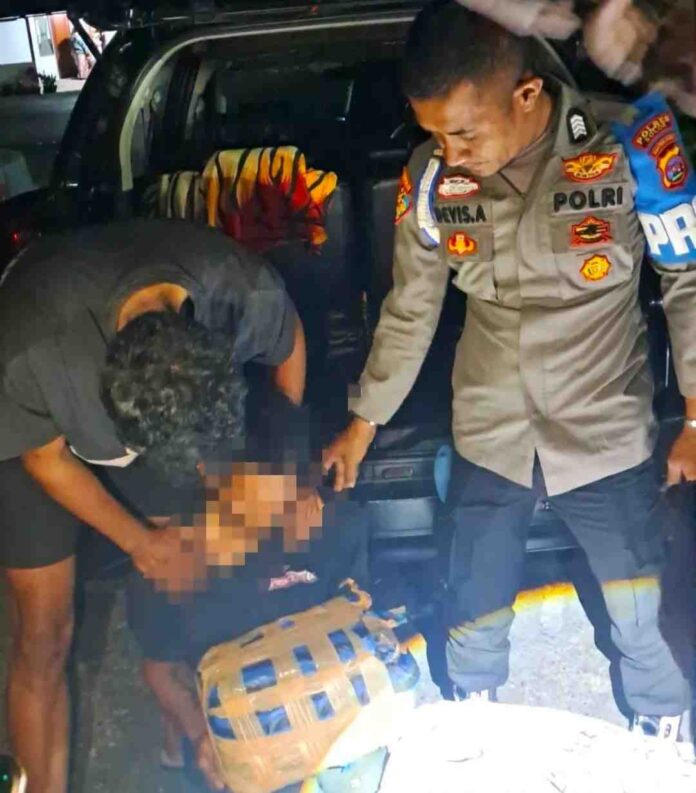 berita ganja solok